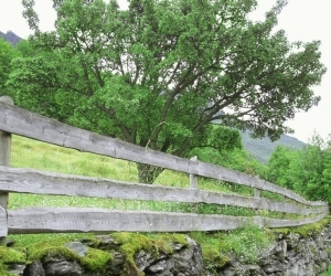 �_�C�G�b�g�W�F���Ƃ�